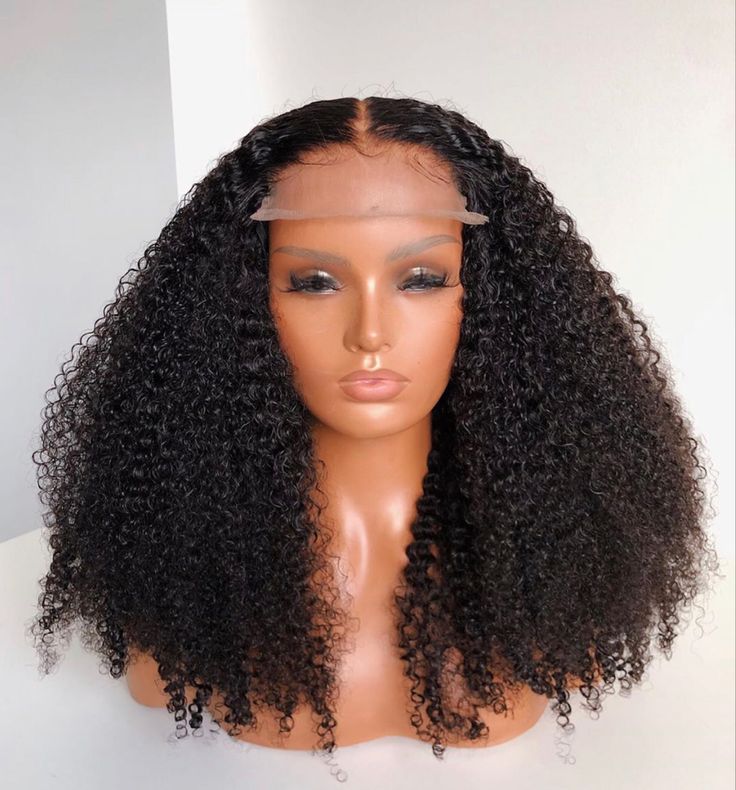 Kinky Curly Closure Wig